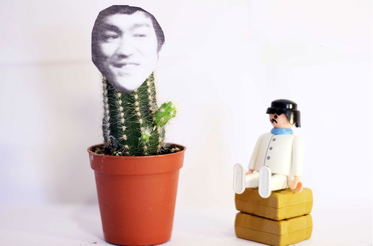 Proyecto Cactus, agencia de diseño web, tiendas online, publicidad y redes sociales