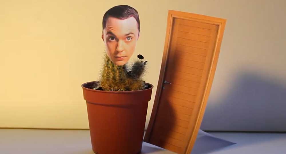 Proyecto Cactus, agencia de diseño web, tiendas online, publicidad y redes sociales